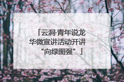 云洞·青年说龙华微宣讲活动开讲“向绿图强”