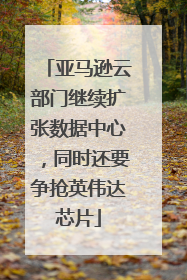 亚马逊云部门继续扩张数据中心，同时还要争抢英伟达芯片