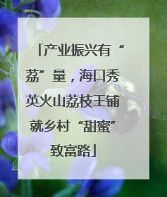 产业振兴有“荔”量，海口秀英火山荔枝王铺就乡村“甜蜜”致富路