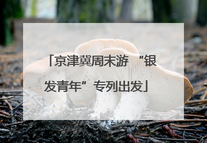 京津冀周末游 “银发青年”专列出发