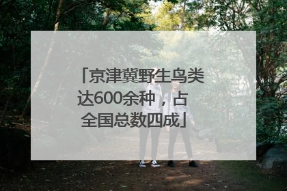 京津冀野生鸟类达600余种，占全国总数四成