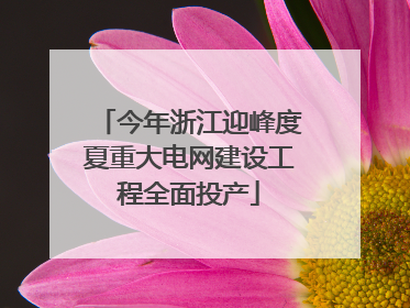 今年浙江迎峰度夏重大电网建设工程全面投产