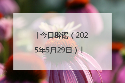 今日辟谣（2025年5月29日）