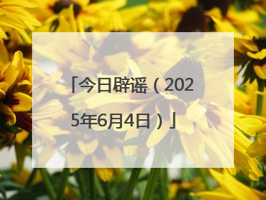 今日辟谣（2025年6月4日）