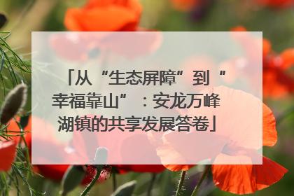从“生态屏障”到“幸福靠山”：安龙万峰湖镇的共享发展答卷