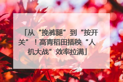 从“挽裤腿”到“按开关”！高青稻田插秧“人机大战”效率拉满