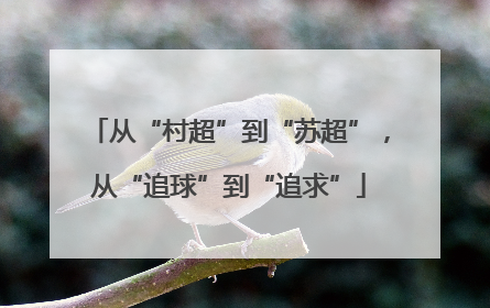 从“村超”到“苏超”，从“追球”到“追求”