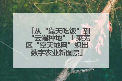 从“靠天吃饭”到“云端种地”！莱芜区“空天地网”织出数字农业新图景