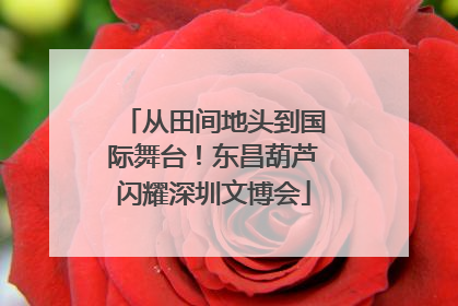 从田间地头到国际舞台！东昌葫芦闪耀深圳文博会