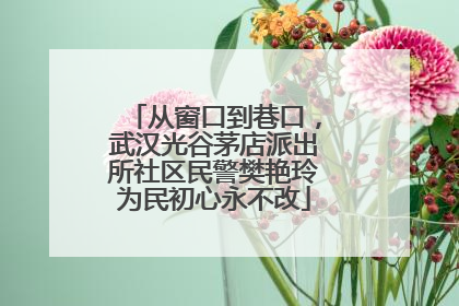 从窗口到巷口，武汉光谷茅店派出所社区民警樊艳玲为民初心永不改