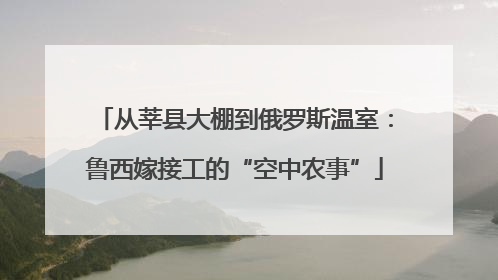 从莘县大棚到俄罗斯温室：鲁西嫁接工的“空中农事”