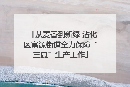 从麦香到新绿 沾化区富源街道全力保障“三夏”生产工作