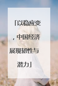以稳应变，中国经济展现韧性与潜力