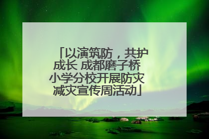 以演筑防，共护成长 成都磨子桥小学分校开展防灾减灾宣传周活动