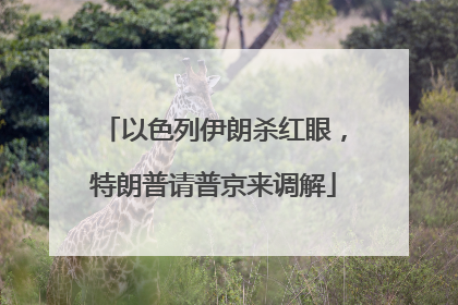 以色列伊朗杀红眼，特朗普请普京来调解