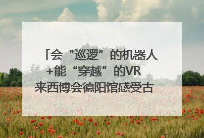 会“巡逻”的机器人+能“穿越”的VR 来西博会德阳馆感受古蜀文明与现代智造的时空对话｜西博视界