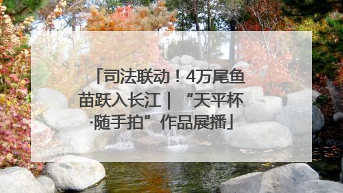 司法联动！4万尾鱼苗跃入长江｜“天平杯·随手拍”作品展播