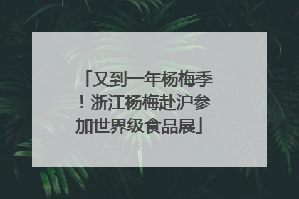 又到一年杨梅季！浙江杨梅赴沪参加世界级食品展