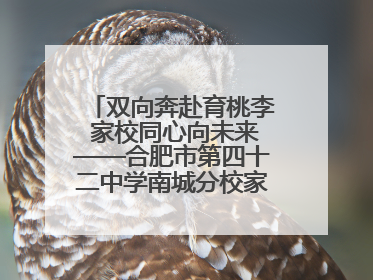 双向奔赴育桃李 家校同心向未来——合肥市第四十二中学南城分校家长学校期末总结会圆满召开
