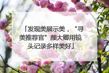 发现美展示美，“寻美推荐官”颜大卿用镜头记录多样美好