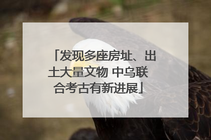 发现多座房址、出土大量文物 中乌联合考古有新进展