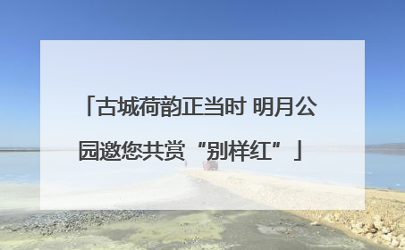 古城荷韵正当时 明月公园邀您共赏“别样红”