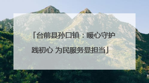 台前县孙口镇：暖心守护践初心 为民服务显担当