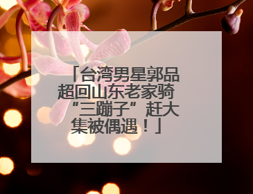 台湾男星郭品超回山东老家骑“三蹦子”赶大集被偶遇！