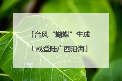 台风“蝴蝶”生成！或登陆广西沿海
