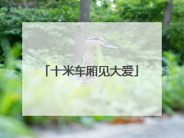 十米车厢见大爱