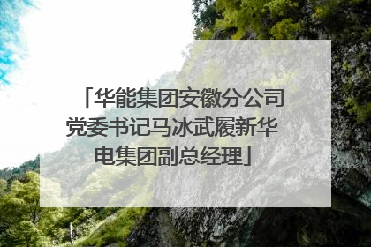 华能集团安徽分公司党委书记马冰武履新华电集团副总经理