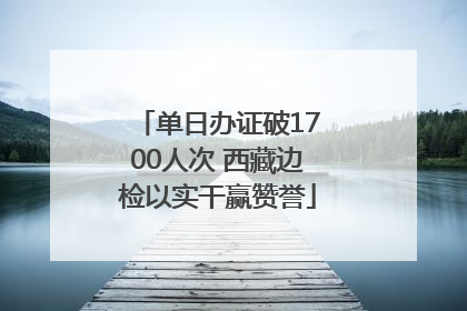 单日办证破1700人次 西藏边检以实干赢赞誉