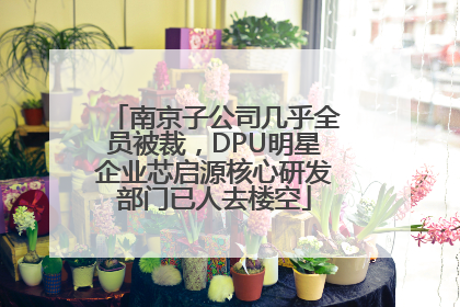 南京子公司几乎全员被裁，DPU明星企业芯启源核心研发部门已人去楼空