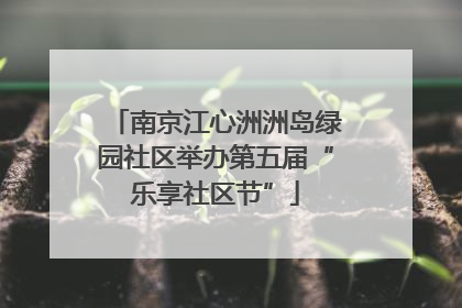 南京江心洲洲岛绿园社区举办第五届“乐享社区节”