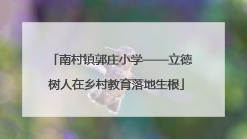 南村镇郭庄小学——立德树人在乡村教育落地生根