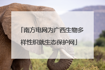 南方电网为广西生物多样性织就生态保护网