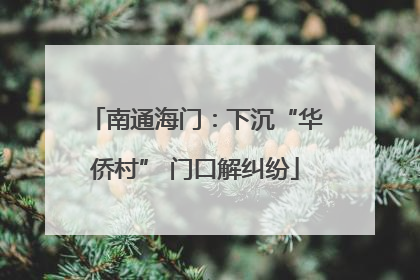 南通海门：下沉“华侨村” 门口解纠纷