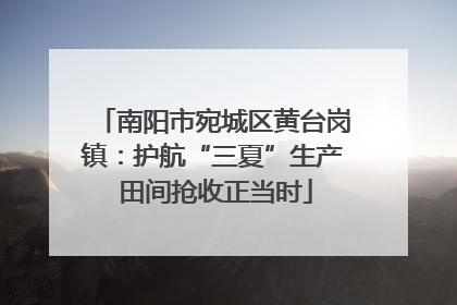 南阳市宛城区黄台岗镇：护航“三夏”生产 田间抢收正当时