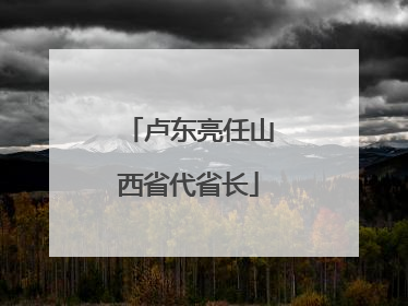 卢东亮任山西省代省长