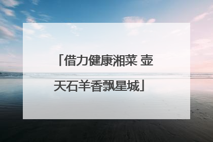 借力健康湘菜 壶天石羊香飘星城