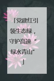 党建红引领生态绿，守护高速“绿水青山”