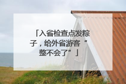 入省检查点发粽子，给外省游客“整不会了”