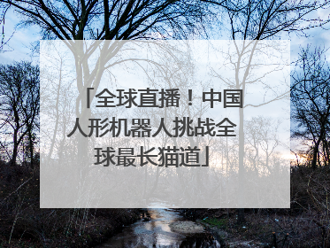 全球直播！中国人形机器人挑战全球最长猫道
