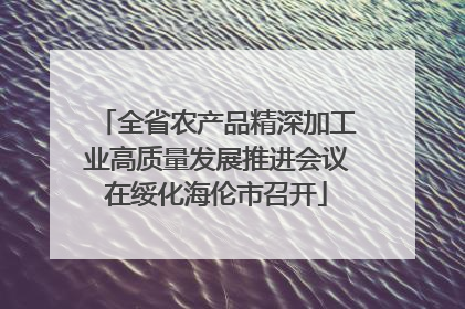 全省农产品精深加工业高质量发展推进会议在绥化海伦市召开