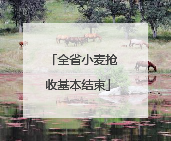 全省小麦抢收基本结束