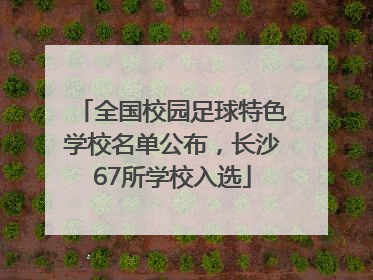 全国校园足球特色学校名单公布，长沙67所学校入选