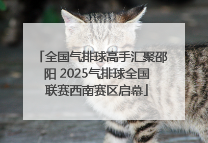 全国气排球高手汇聚邵阳 2025气排球全国联赛西南赛区启幕