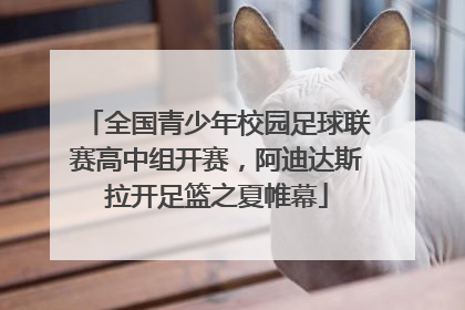 全国青少年校园足球联赛高中组开赛，阿迪达斯拉开足篮之夏帷幕