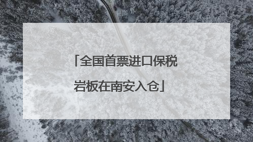 全国首票进口保税岩板在南安入仓