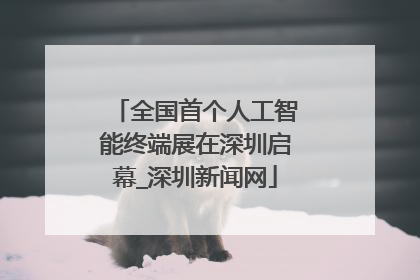 全国首个人工智能终端展在深圳启幕_深圳新闻网